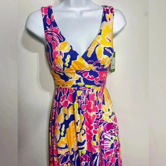 NWT Lily Pulitzer Sloane Midi Dress Catch and Release Size XXS - Picture 3 of 8